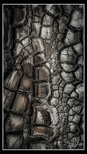 Drought after the Rain