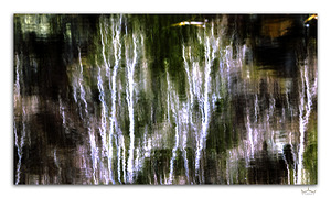 Abstract Reflections