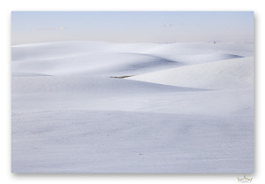 Winter Rolling Hills