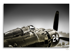 Defend the Sky