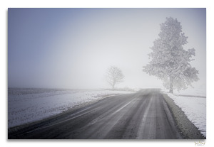 Foggy Farm Road