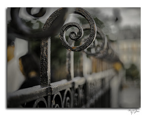Century in a Scroll