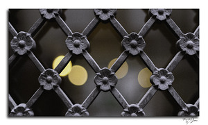 Iron Latticework