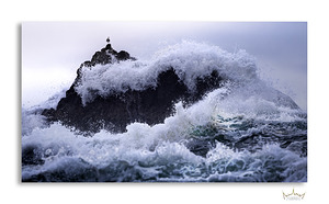 Standing Firm in the Storm