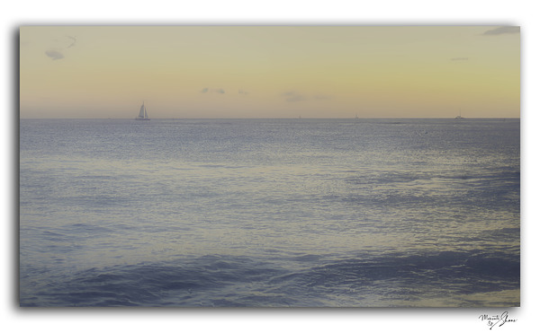 Paradise Dreaming
