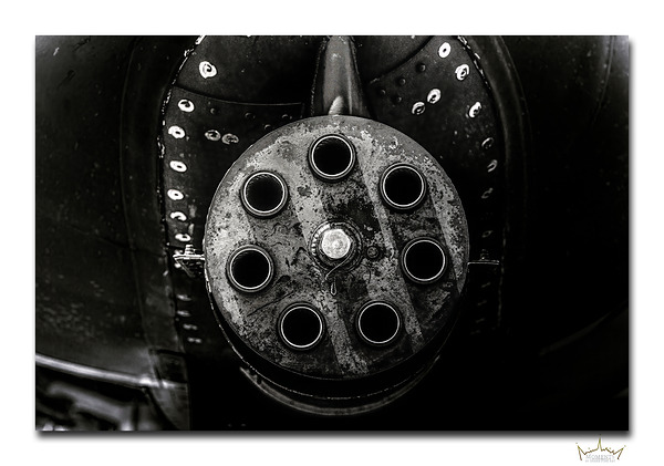 Wart Hog Business Meeting