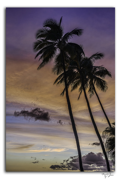 Beach Vib n  Print