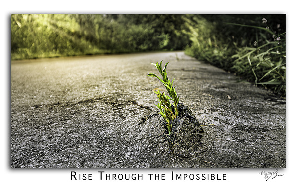 Rise through the Impossible Print