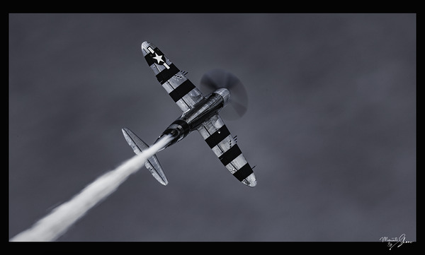 War Bird 1 by Moments By Shane