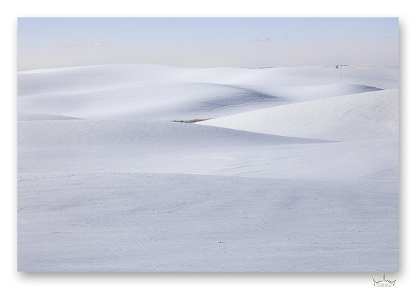 Winter Rolling Hills