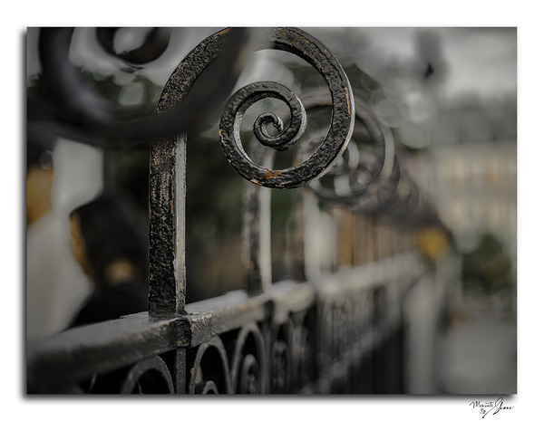 Century in a Scroll