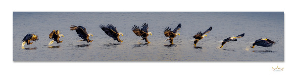 Enduring Spirit of Our Nation