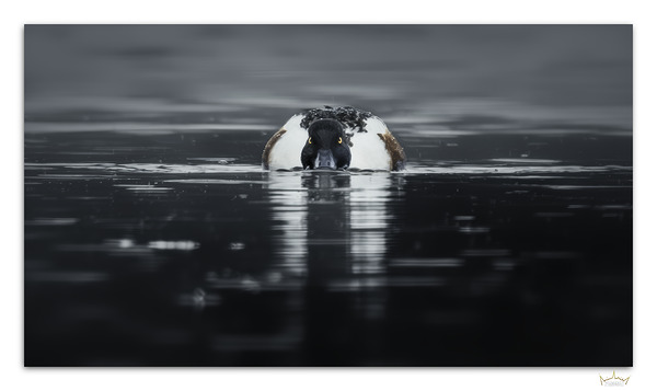 Rainy Day Shoveler  Print