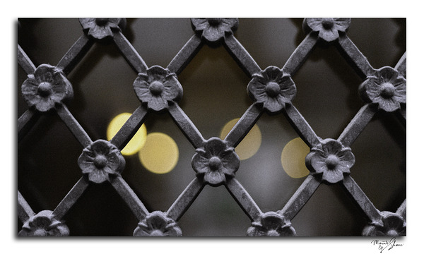 Iron Latticework