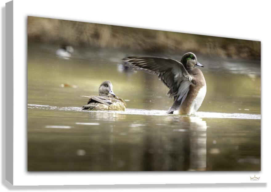 Wings of Protection  Canvas Print