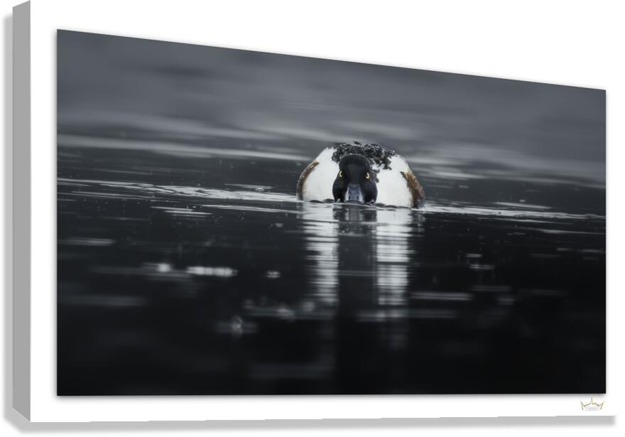 Rainy Day Shoveler  Canvas Print