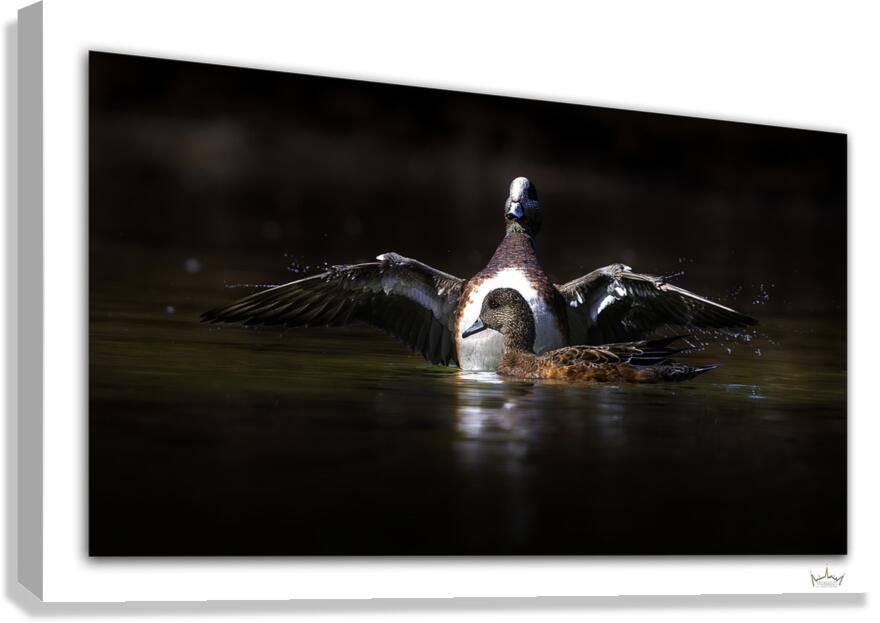 Hug Me My Love  Canvas Print