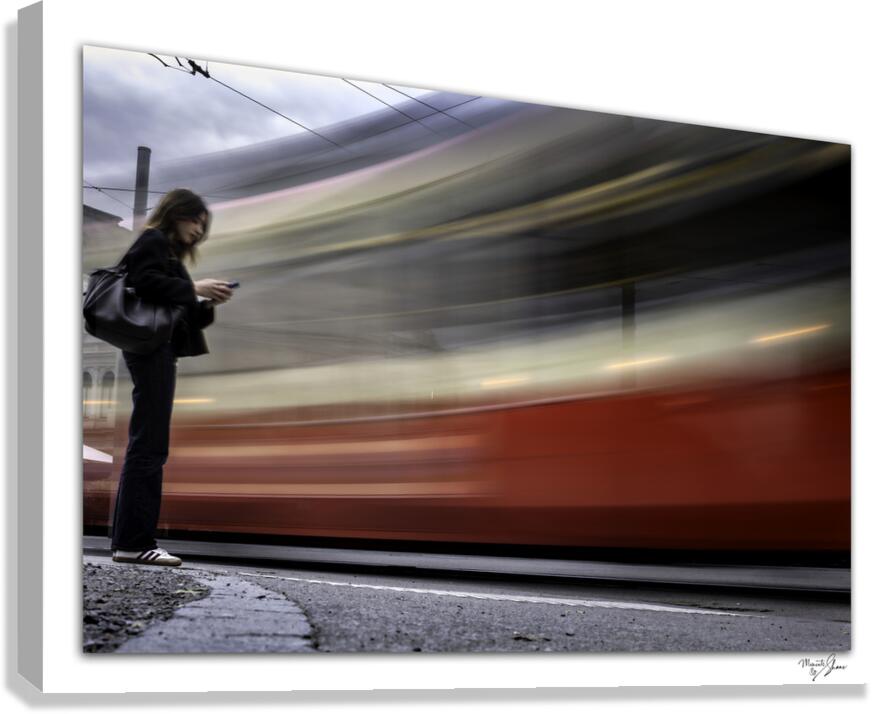 Pausing for the Rush  Canvas Print