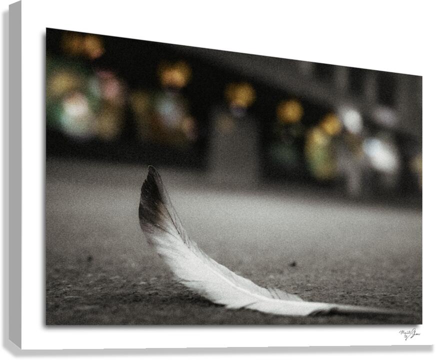 Paris  Canvas Print
