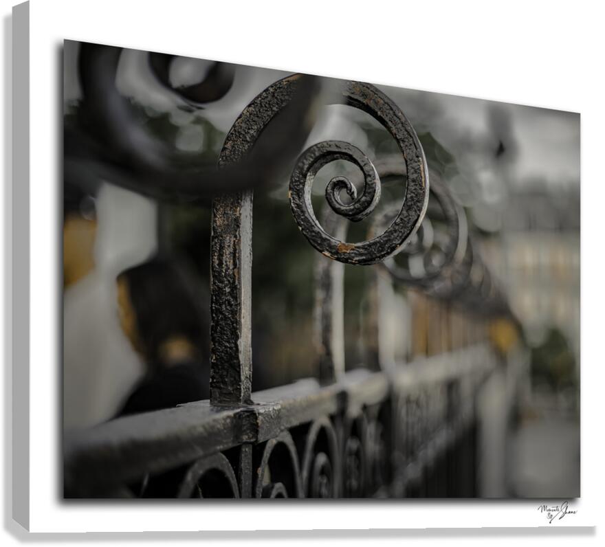 Century in a Scroll  Canvas Print