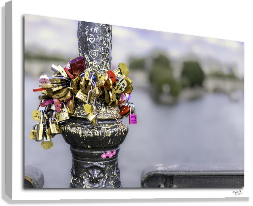 Lovely Locks  Canvas Print