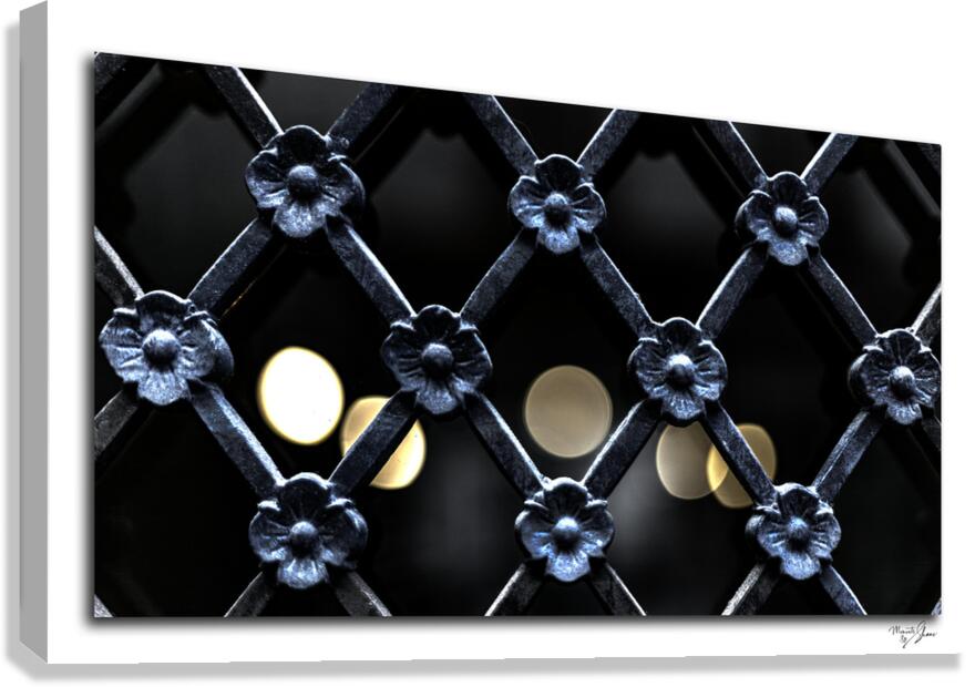 Protecting the Fragile  Canvas Print