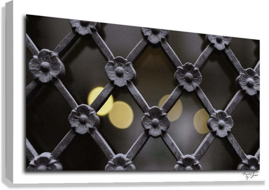 Iron Latticework  Canvas Print