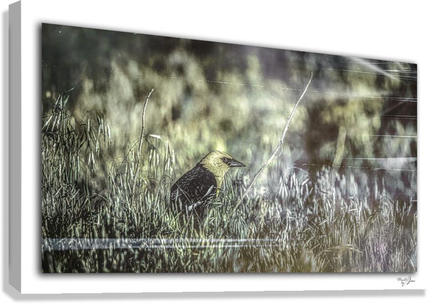 Spirit of the Pond  Canvas Print