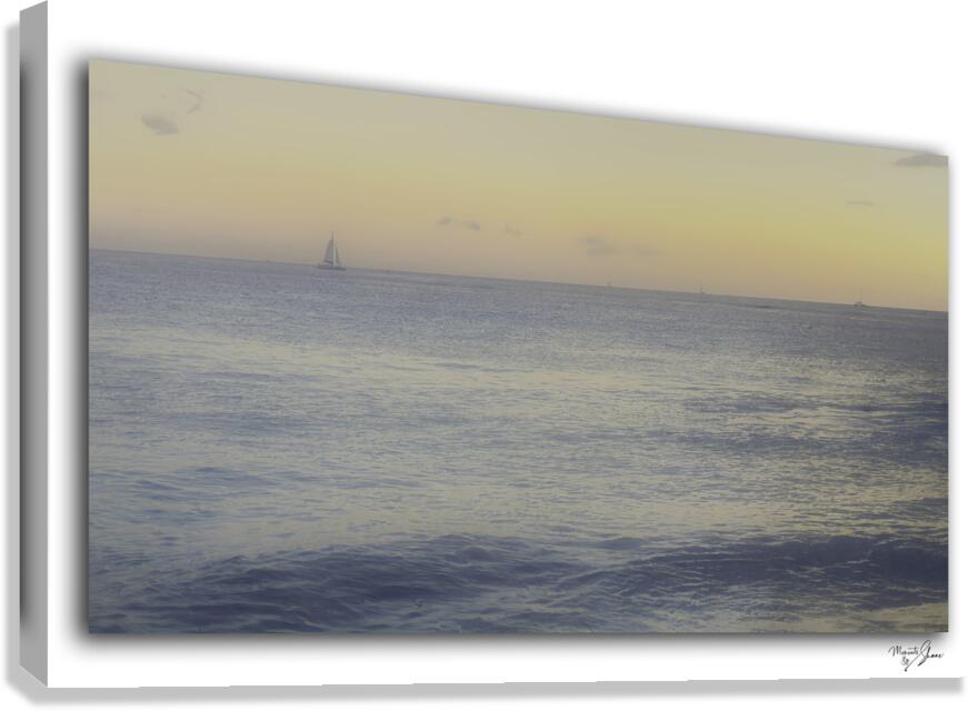 Paradise Dreaming  Canvas Print