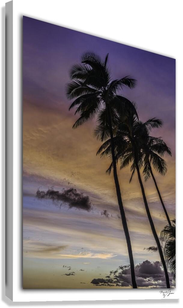 Beach Vib n  Canvas Print