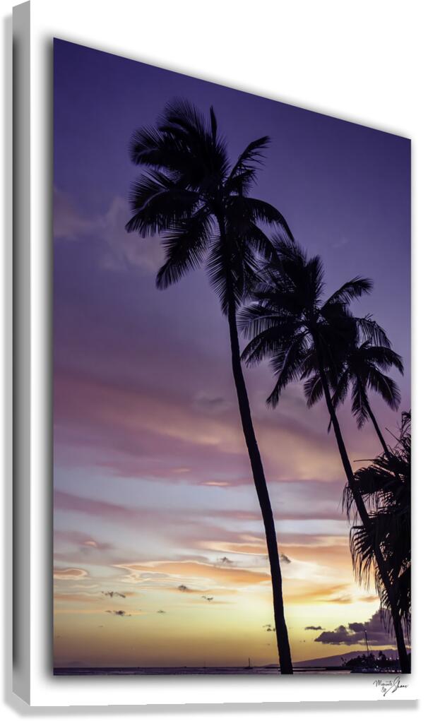 Palm Sunset  Canvas Print