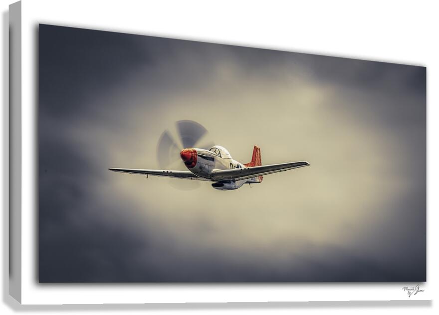 Emerging from the Storm  Canvas Print