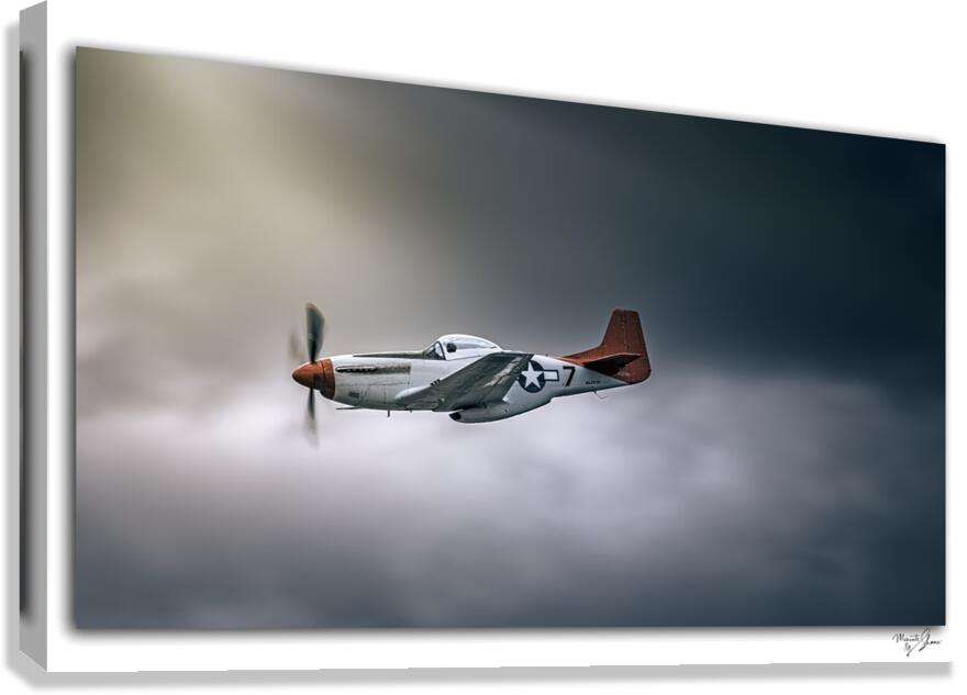 Hero s Return  Canvas Print