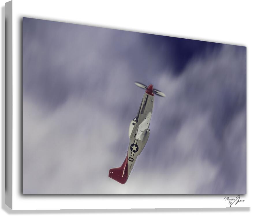 Talk to me Goose  Canvas Print