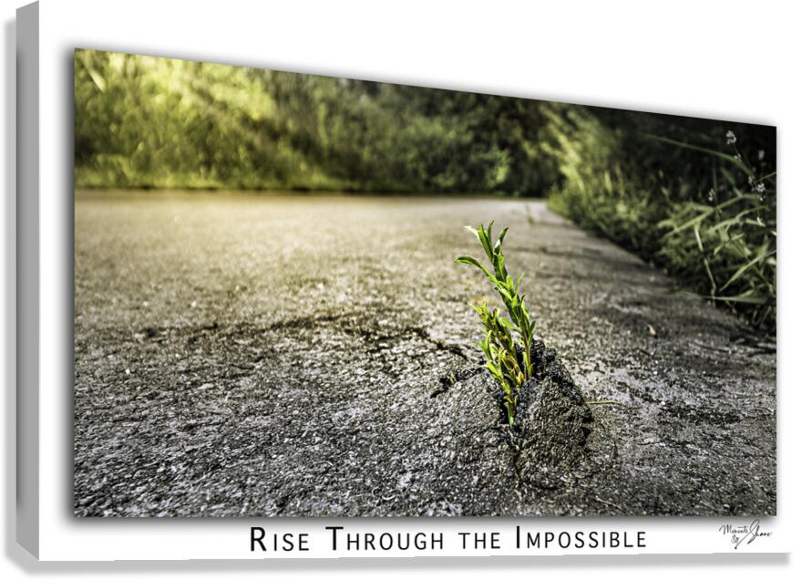 Rise through the Impossible Impression sur toile