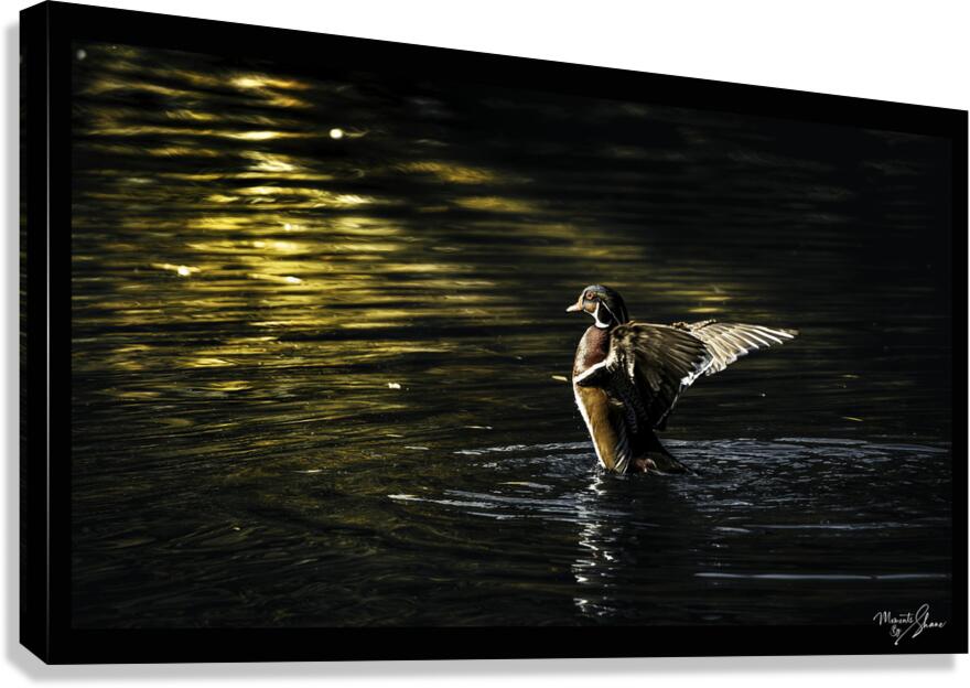 Morning Stretch Canvas Print