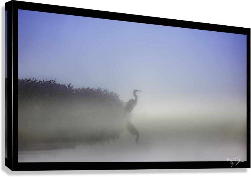 Patient Canvas Print