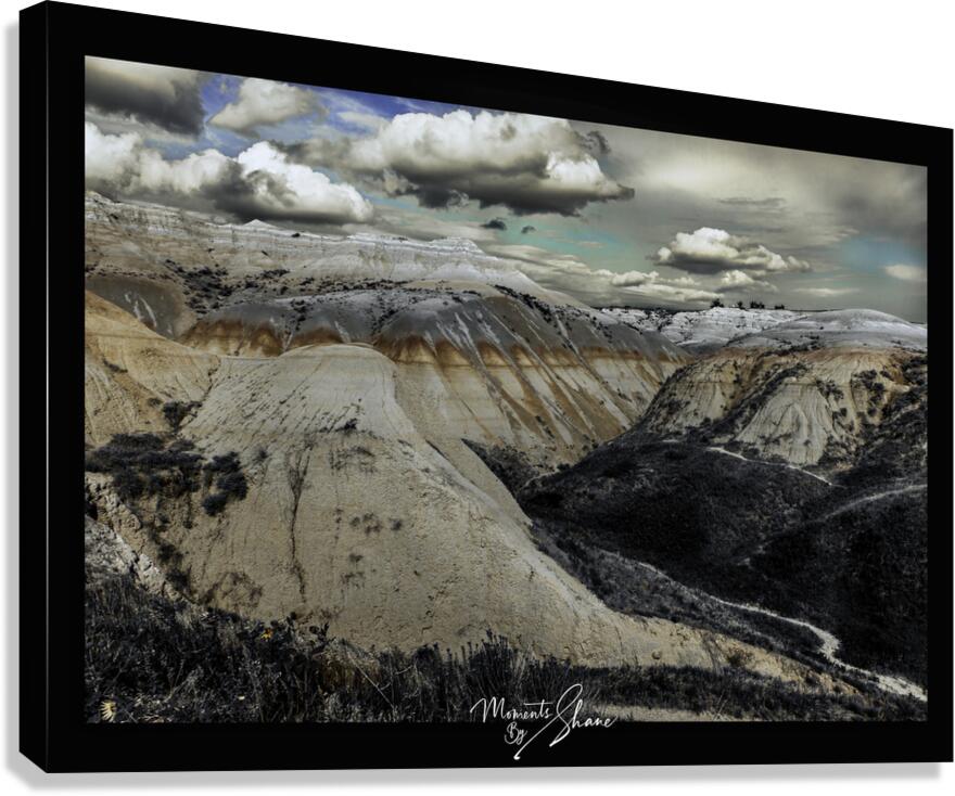 In a Mood Canvas Print