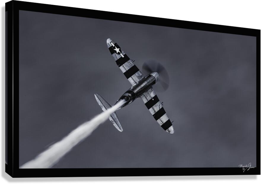 War Bird 1 Canvas Print