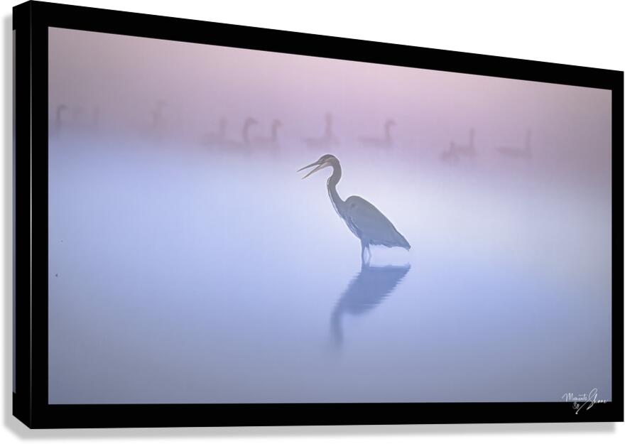 Early Birds Canvas Print