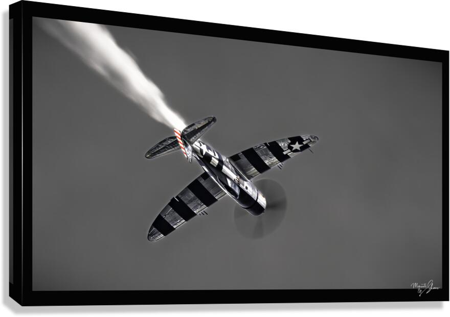 War Bird 2 Canvas Print