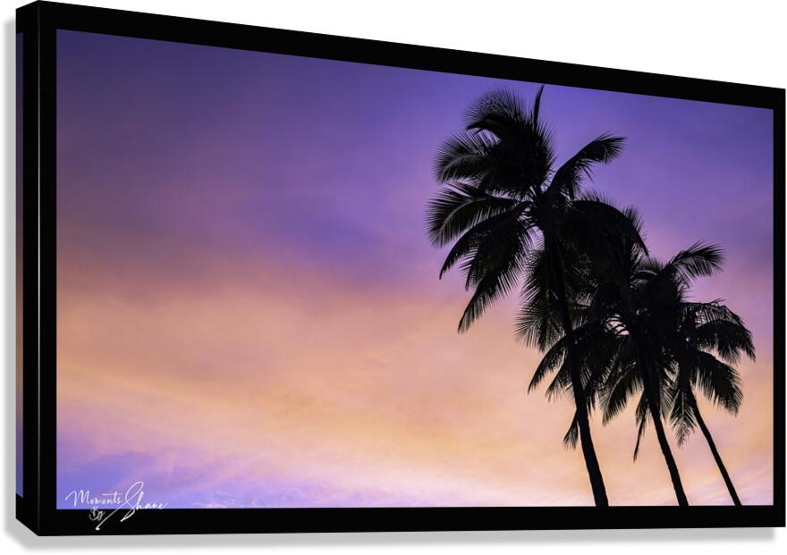 Sunset Paradise Canvas Print