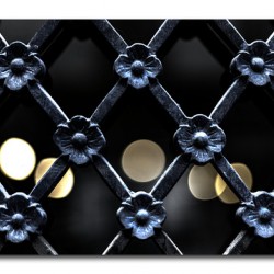 Protecting the Fragile