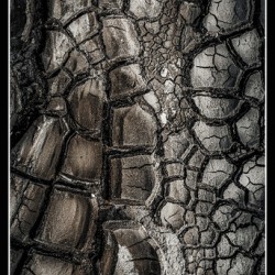 Drought after the Rain