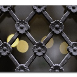 Iron Latticework