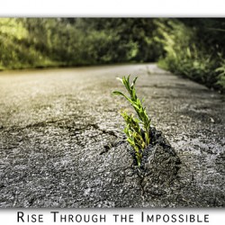 Rise through the Impossible