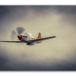 Emerging from the Storm