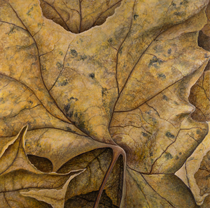 it’s time acrylic 20x20