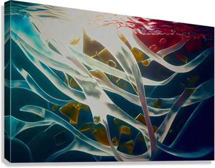 Reflective Pattern Canvas Print