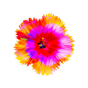 Confetti 4.v1